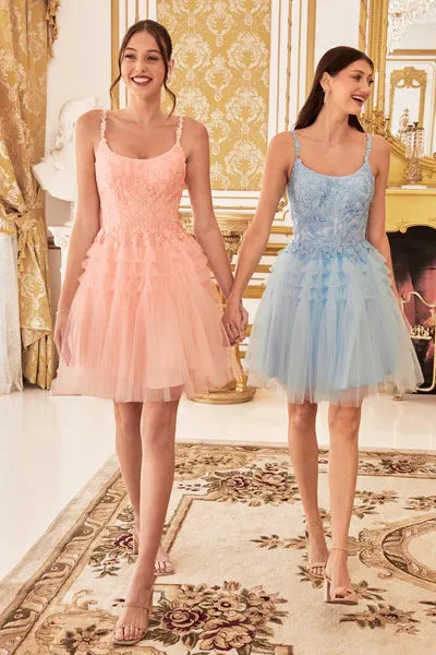 Blush Pleated A-Line Short Dress
