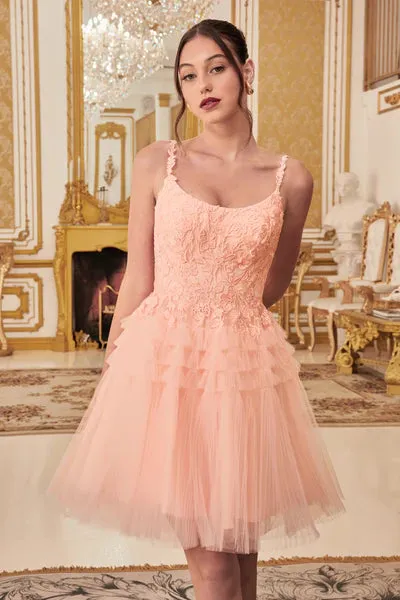 Blush Pleated A-Line Short Dress