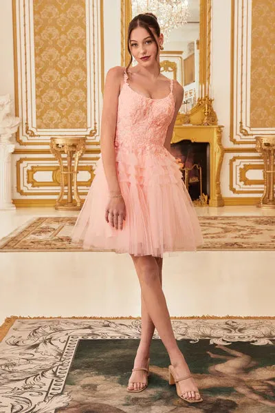 Blush Pleated A-Line Short Dress