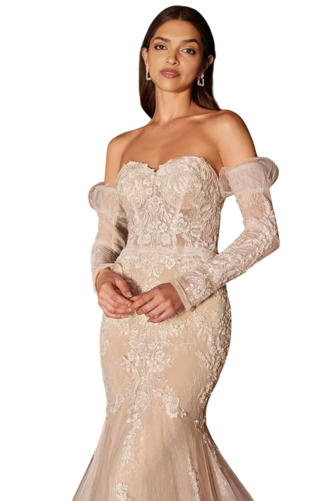 Bridal Dress 2025 Lace Embellished Strapless Wedding Gown