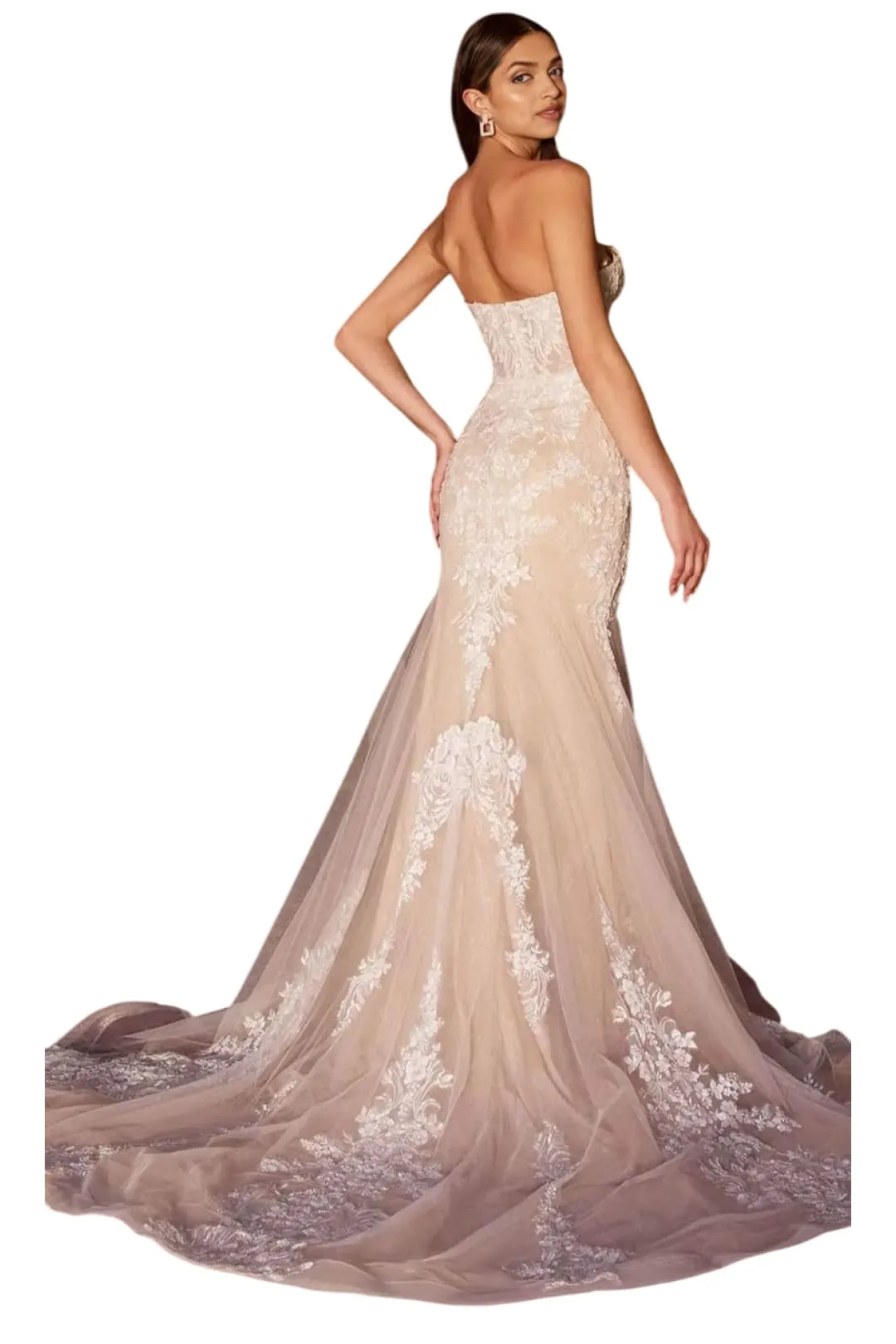 Bridal Dress 2025 Lace Embellished Strapless Wedding Gown