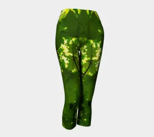 Canopy of Leaves Capris