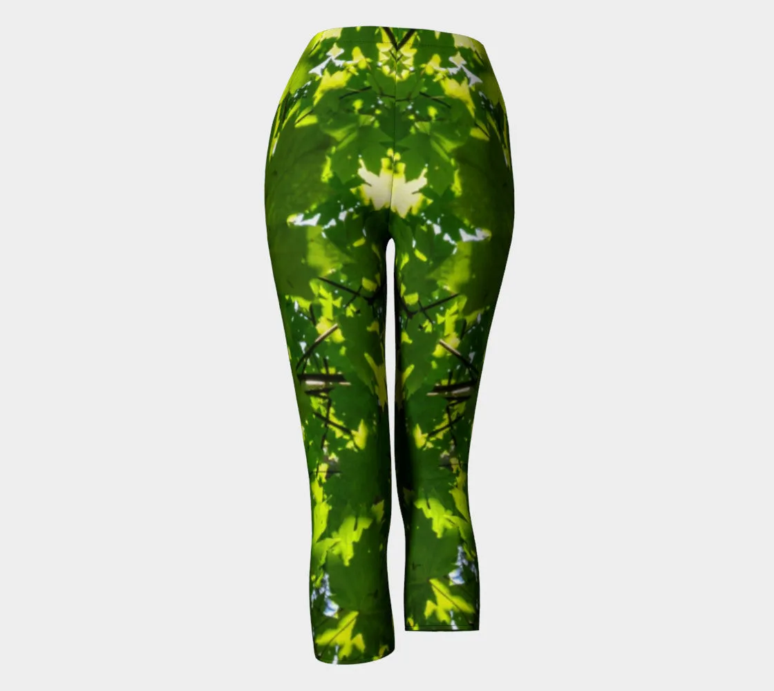 Canopy of Leaves Capris