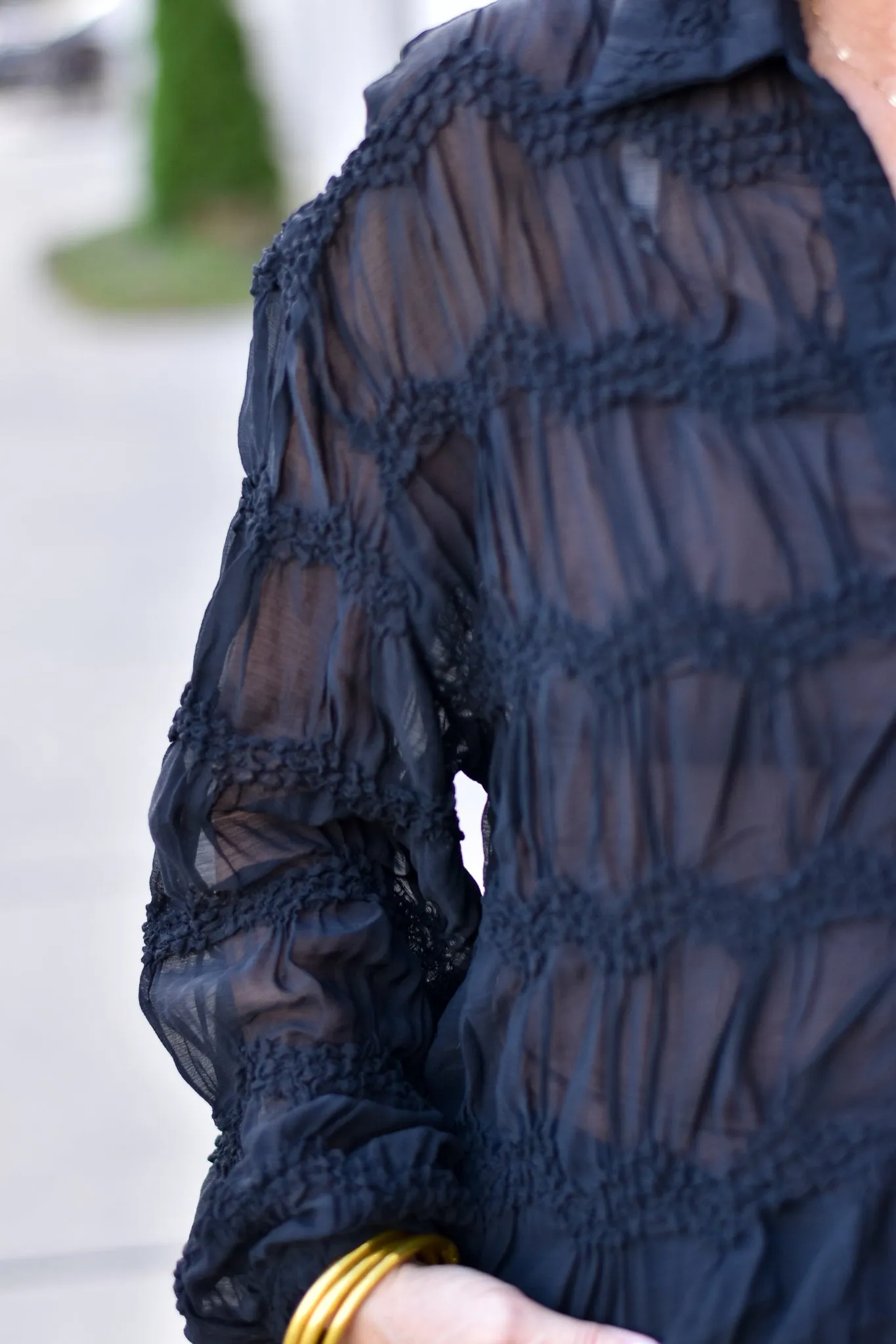 Romantic Sheer Blouse