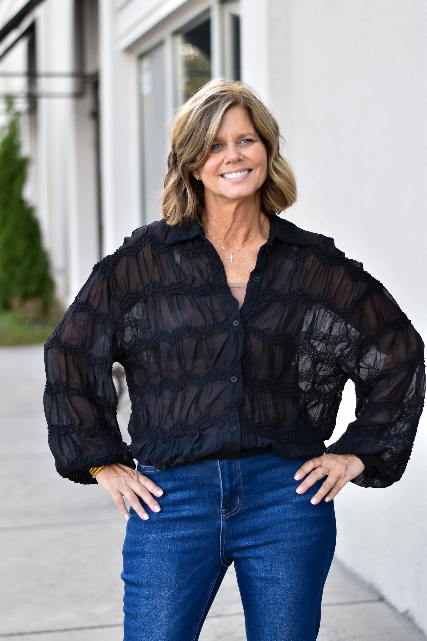 Romantic Sheer Blouse