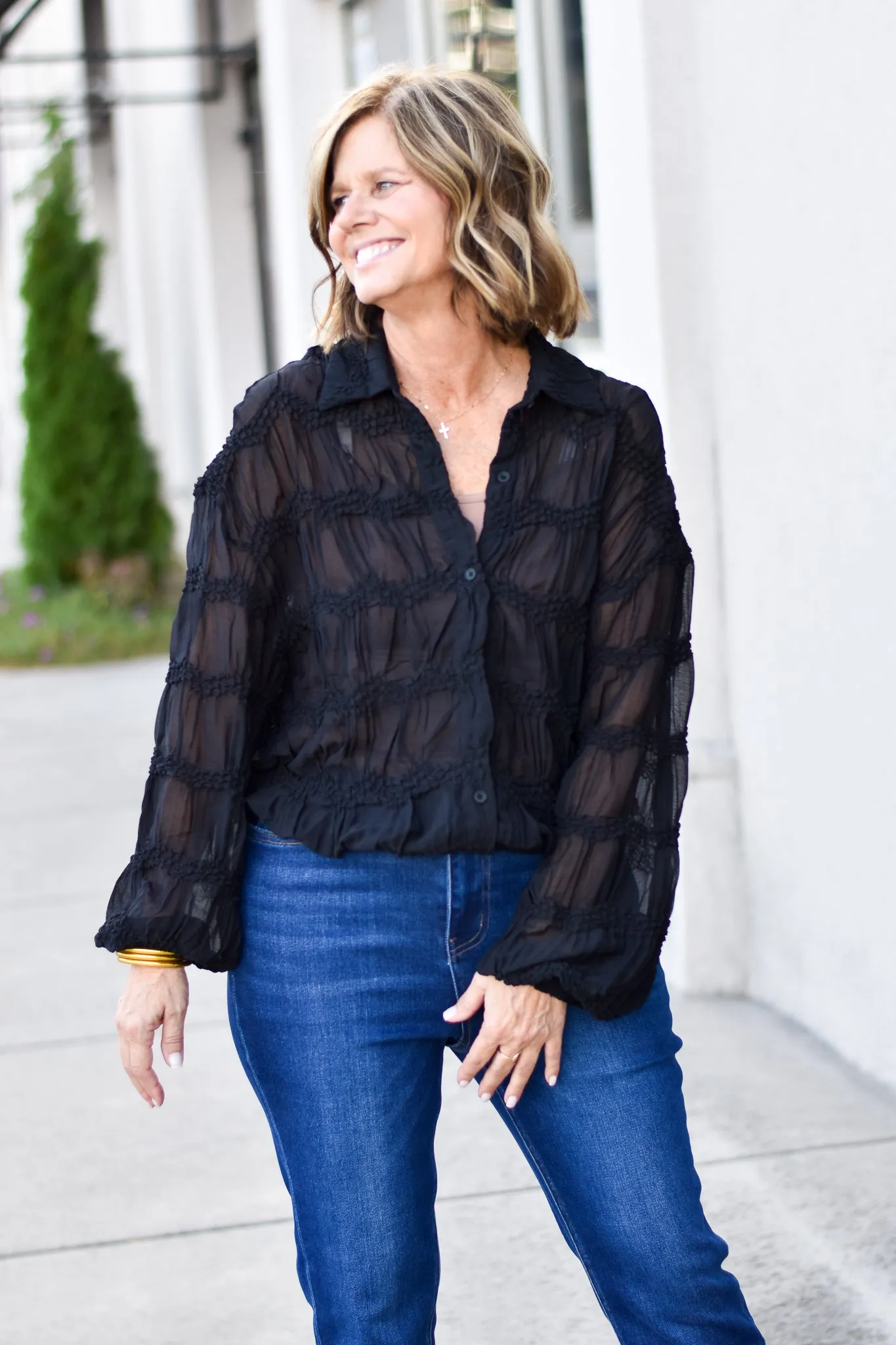 Romantic Sheer Blouse