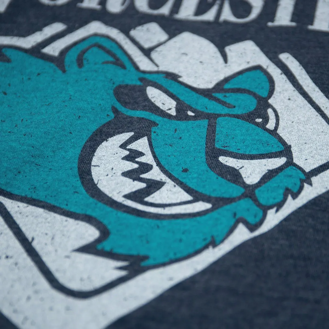 Worcester IceCats